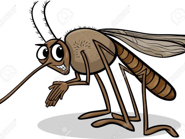 Mosquito clipart histamine, Mosquito histamine Transparent FREE for ...