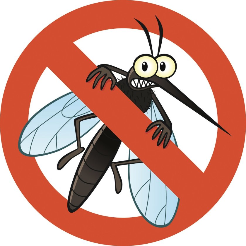 Mosquito clipart hurt. Mosquitoes can spread serious