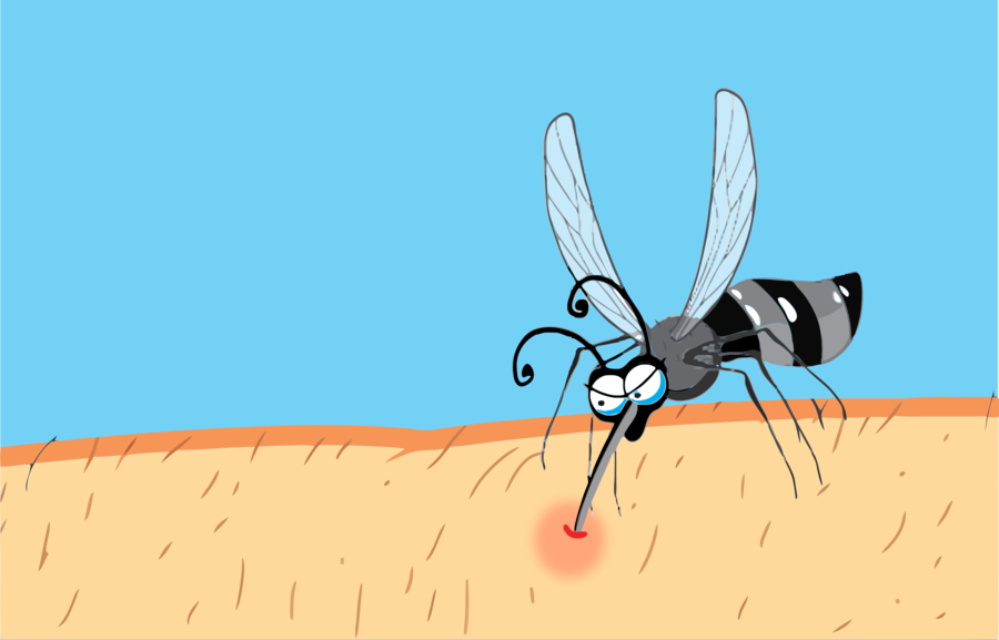 mosquito clipart insect sting
