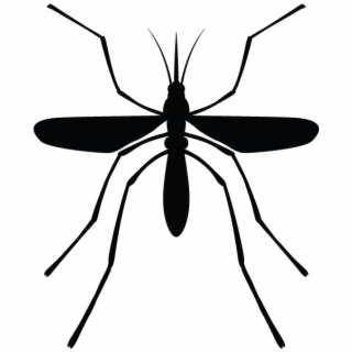 mosquito clipart irritation