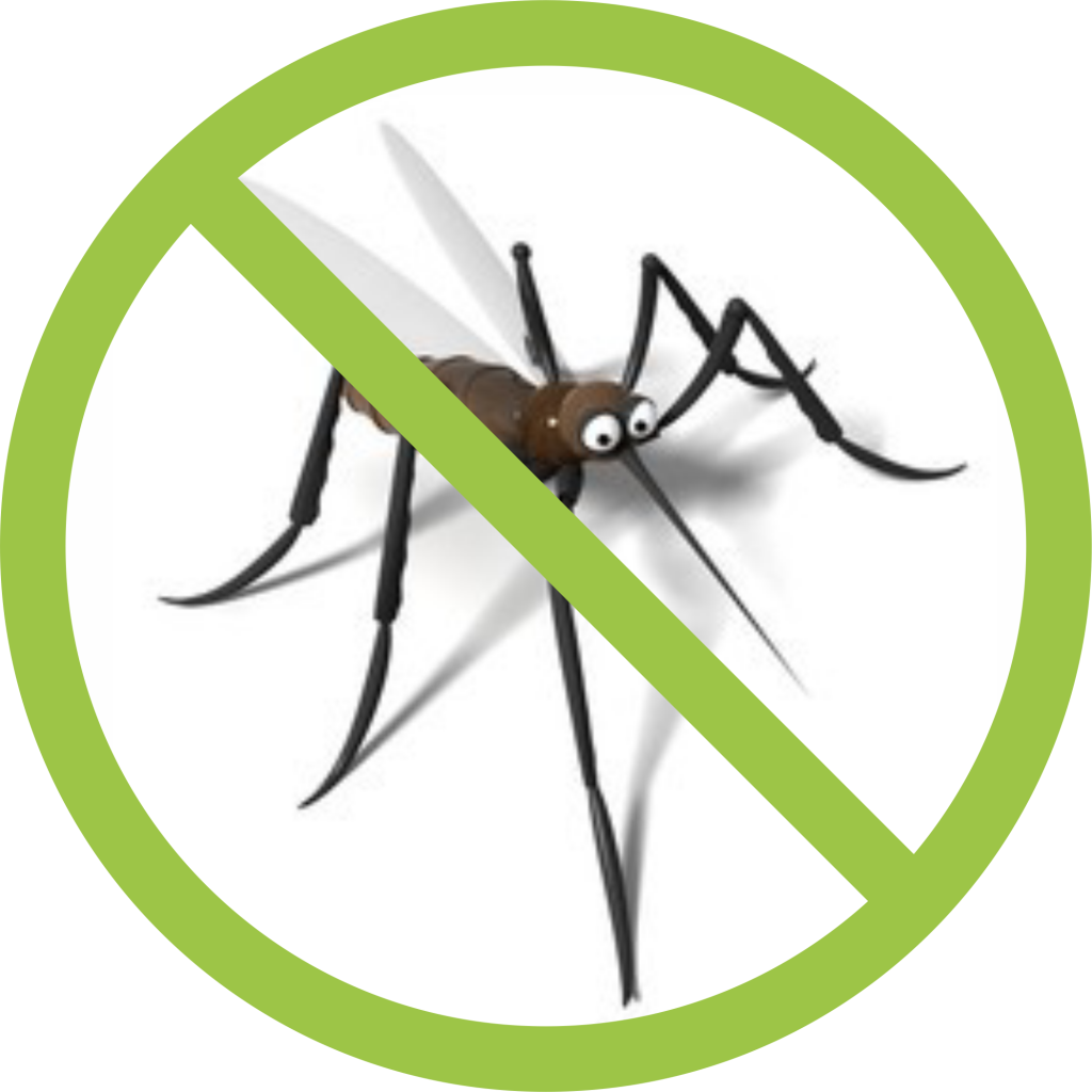 Mosquito clipart malaria mosquito. Home mozaway
