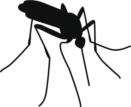  clipartlook. Mosquito clipart misquito