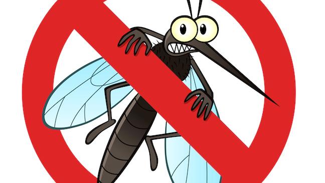 Mosquito clipart mosquito breeding. Control a priority at