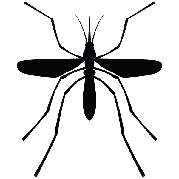 Mosquito clipart mosquito control. Effective treatment plans to