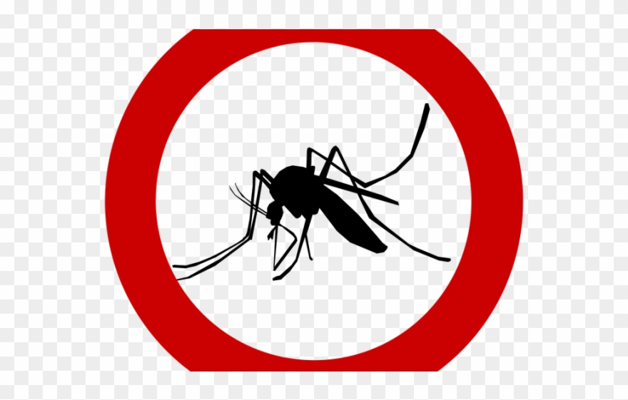 Defend natural and deet. Mosquito clipart mosquito control