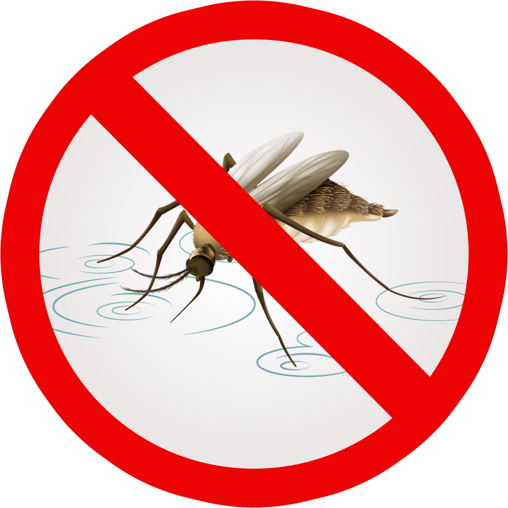 mosquito clipart mosquito net