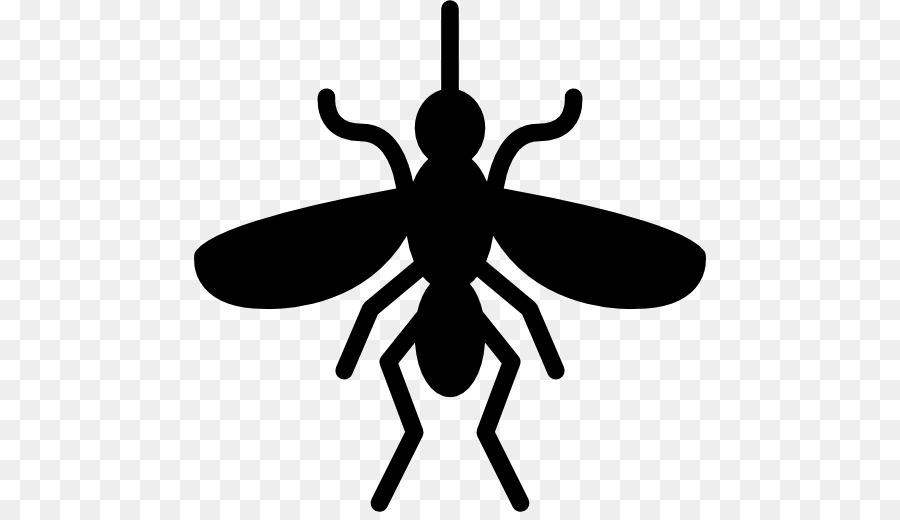 mosquito clipart pest