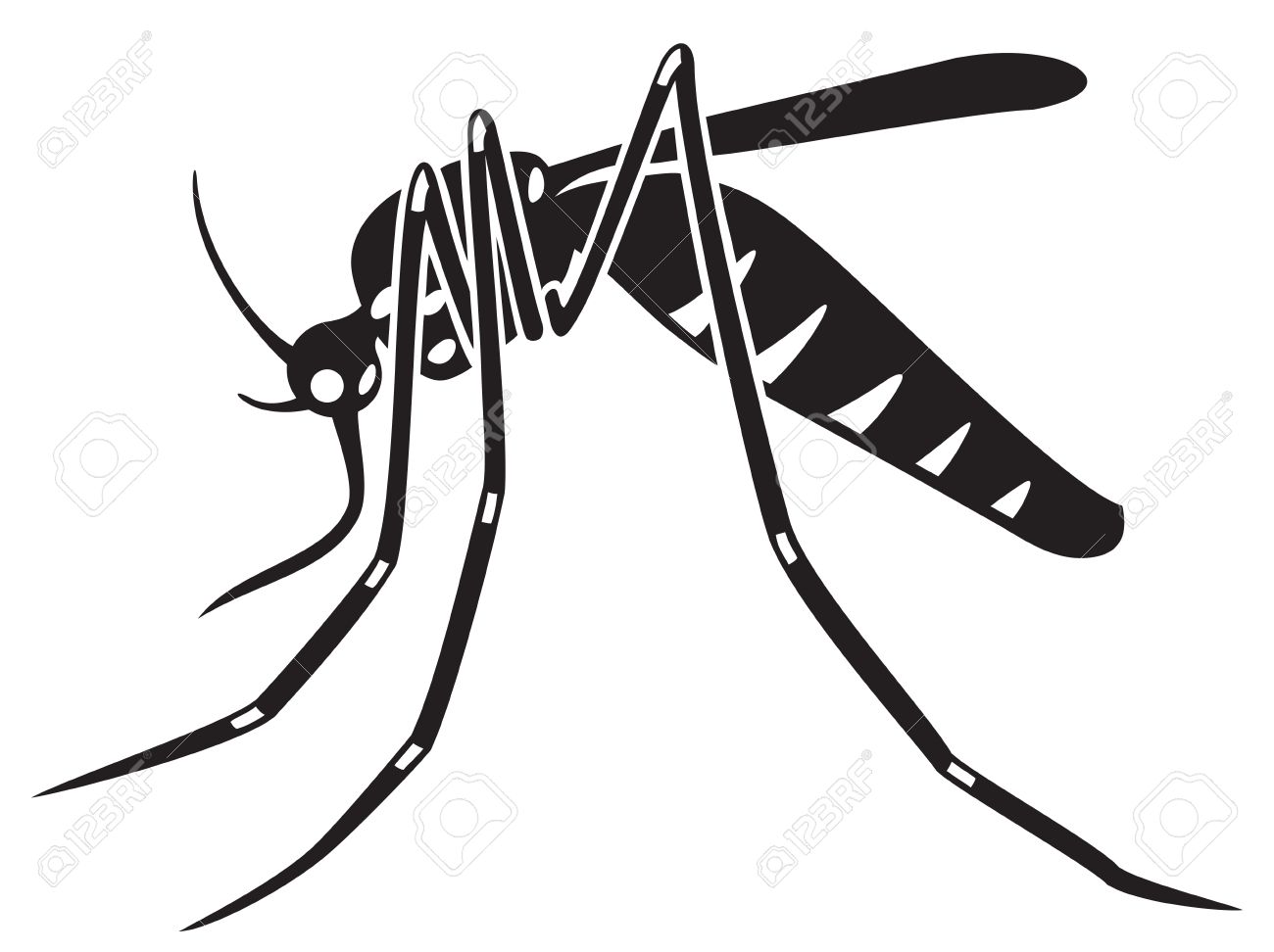 Mosquito clipart realistic. Free download best 