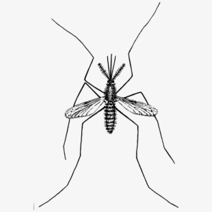 Mosquito clipart sad, Mosquito sad Transparent FREE for download on ...