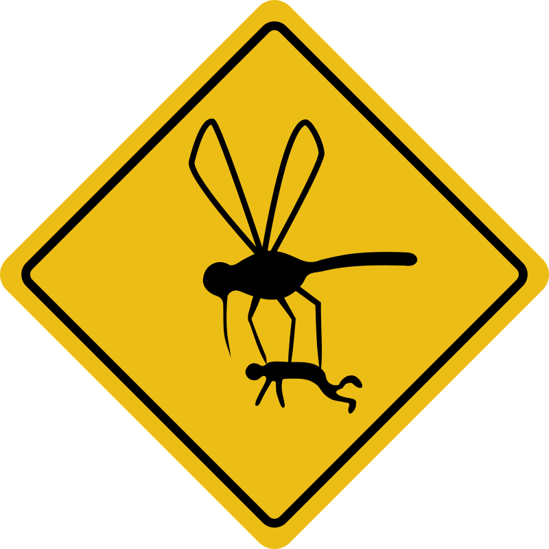 mosquito clipart simple