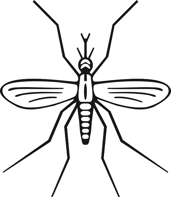 Homeopathy and malaria research. Mosquito clipart skin problem
