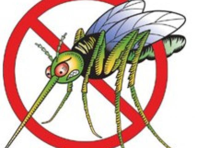 Mosquito clipart skin problem. Free download clip art