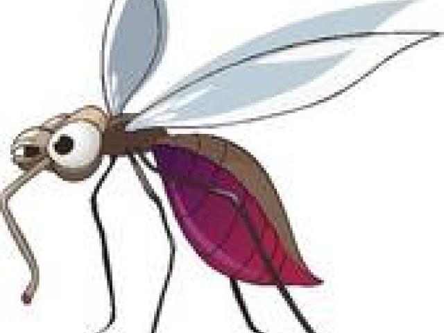Free download clip art. Mosquito clipart skin problem