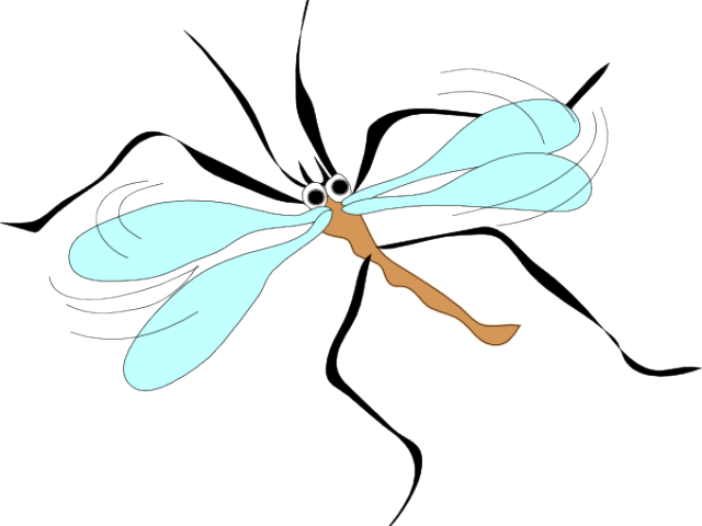 Mosquito clipart small animal. Free download clip art