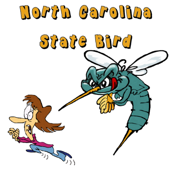 North carolina state bird. Mosquito clipart summer