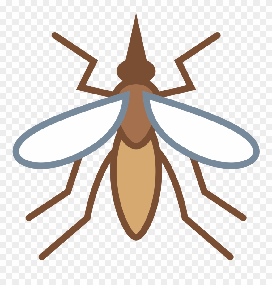 mosquito clipart three
