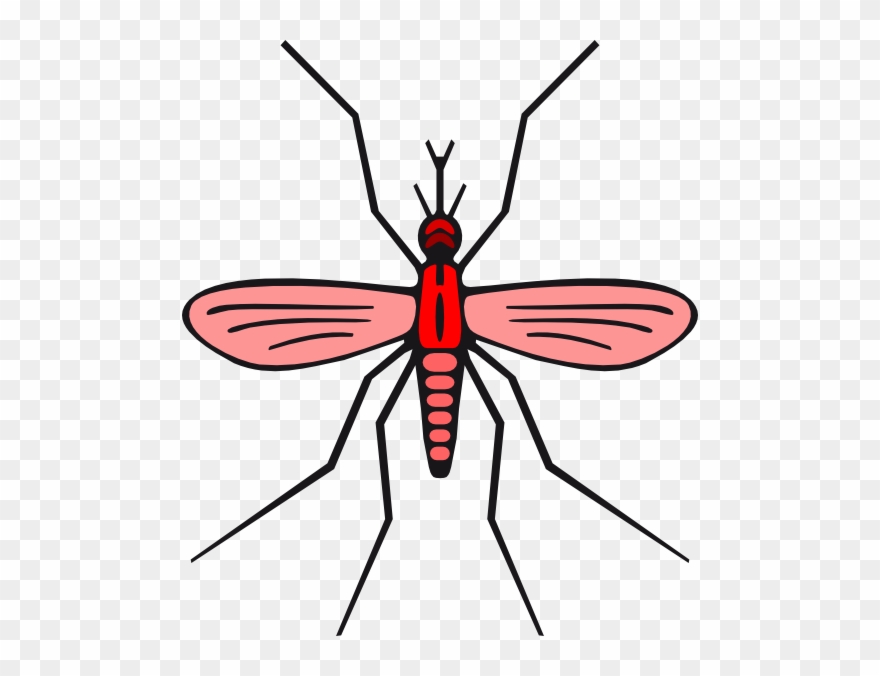 Pinclipart . Mosquito clipart three