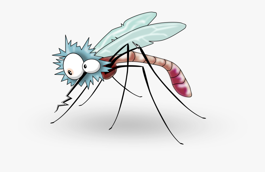 Mosquito clipart transparent background. 