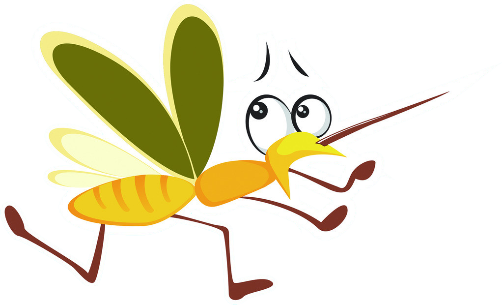 mosquito clipart wing