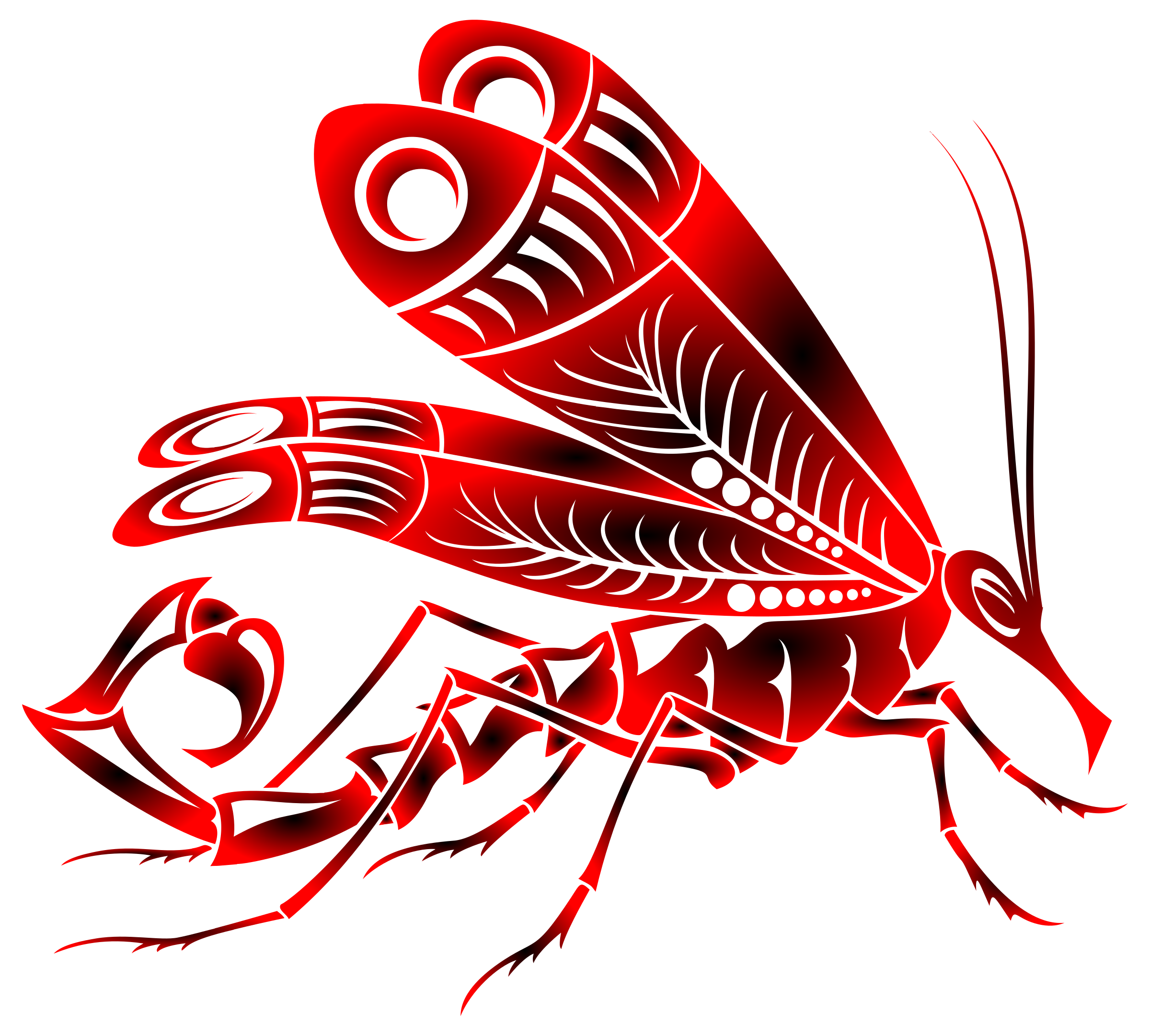 mosquito clipart wing