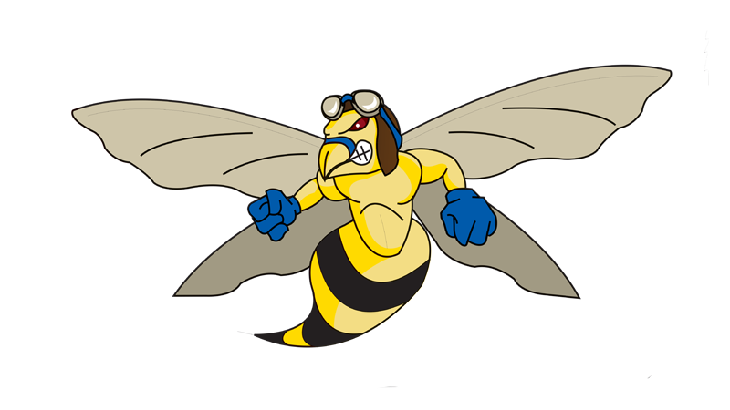 mosquito clipart wing