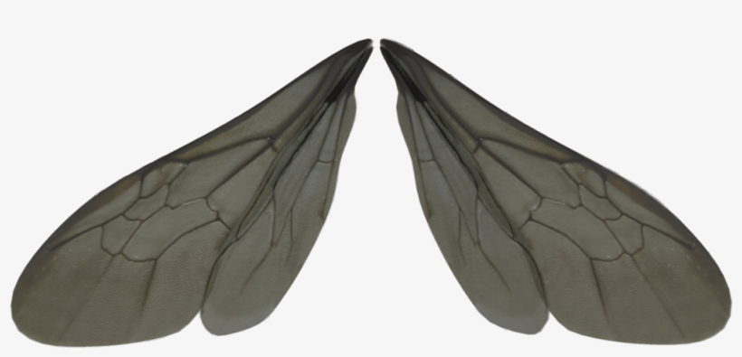 Mosquito clipart wing. Insect wings png image