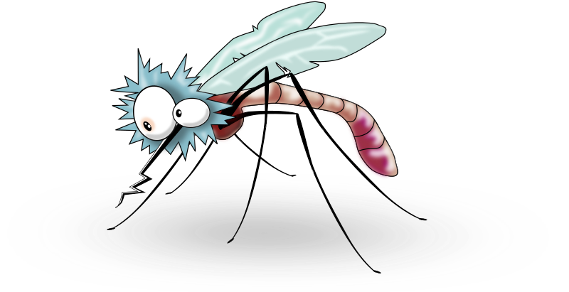 mosquito clipart wing