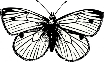 Moth clipart. Panda free images mothclipart