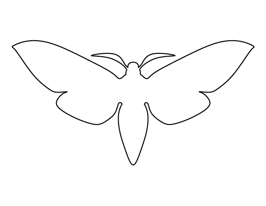moth clipart outline