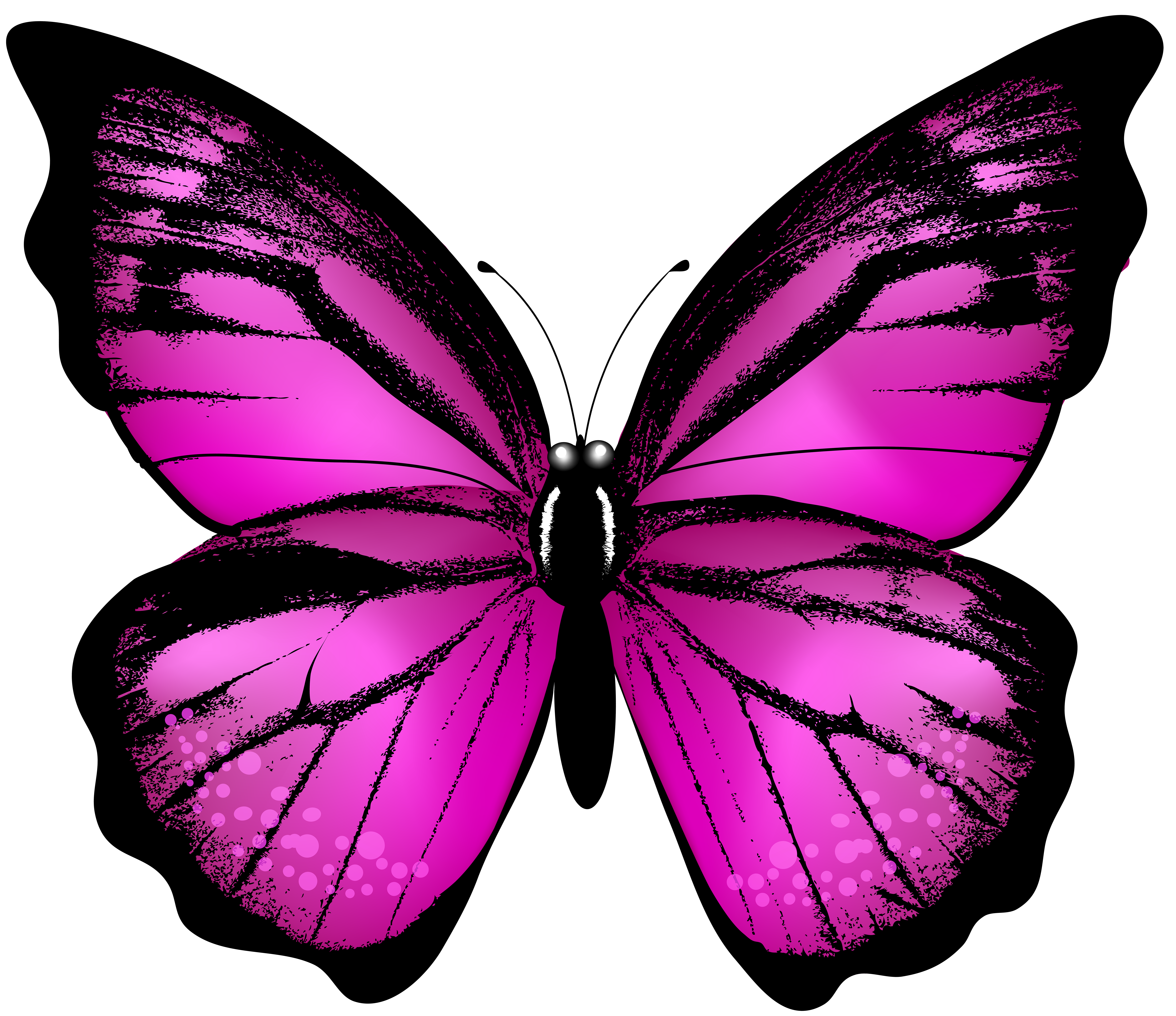 Pink butterfly clip art. Moth clipart transparent