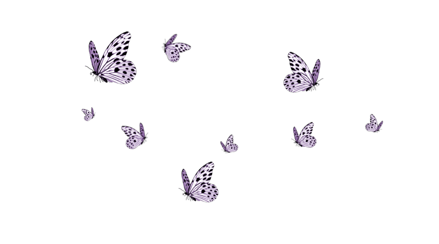 Moth clipart transparent tumblr. Butterfly butterflies kawaii ftestickers