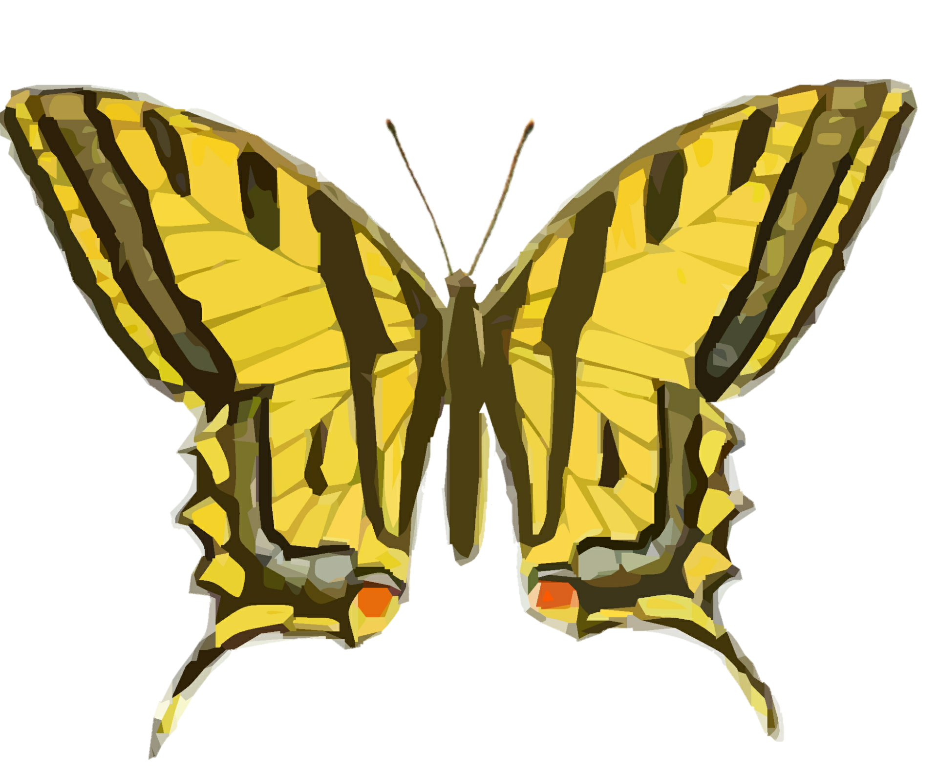 Moth clipart vintage, Moth vintage Transparent FREE for download on