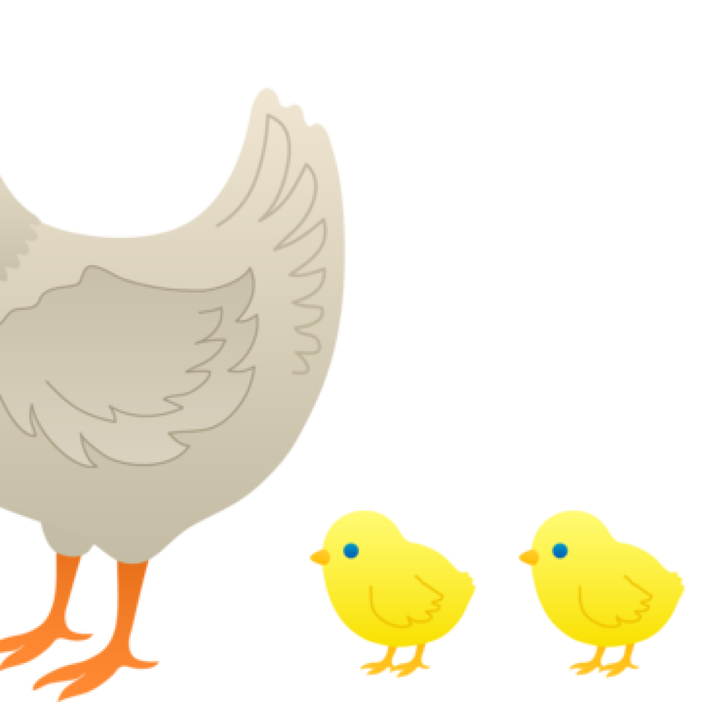 Mother clipart chicken. Baby chick pencil hatenylo