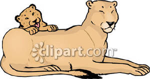 Lion climbing on its. Mother clipart cub