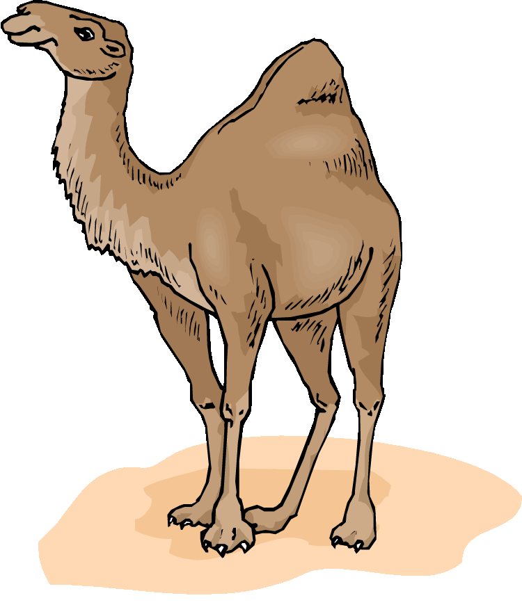 camel clipart desert camel