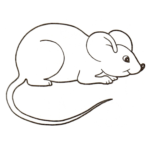 mouse clipart colouring page