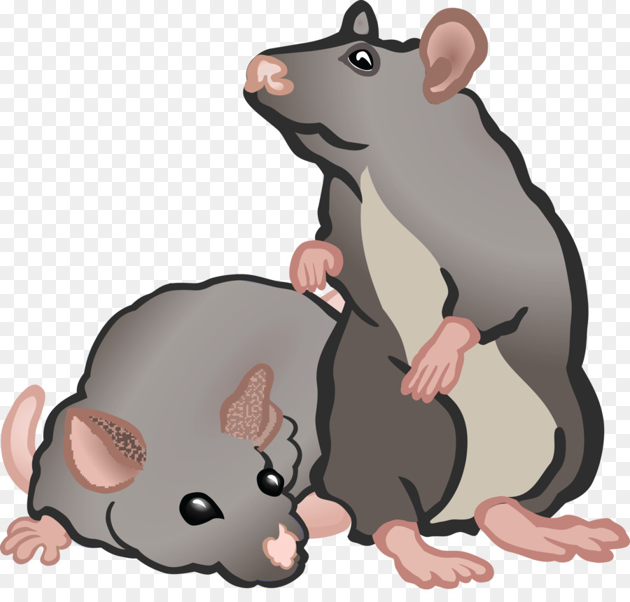 mouse clipart rat