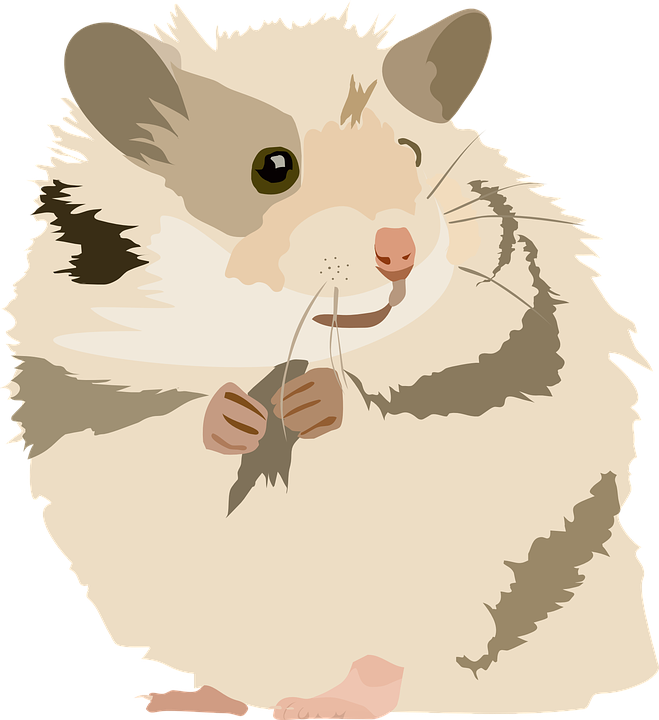 Mouse clipart rodent. Hamster free on dumielauxepices