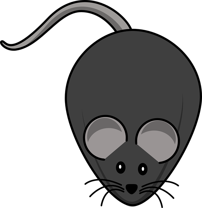 mouse clipart sketch