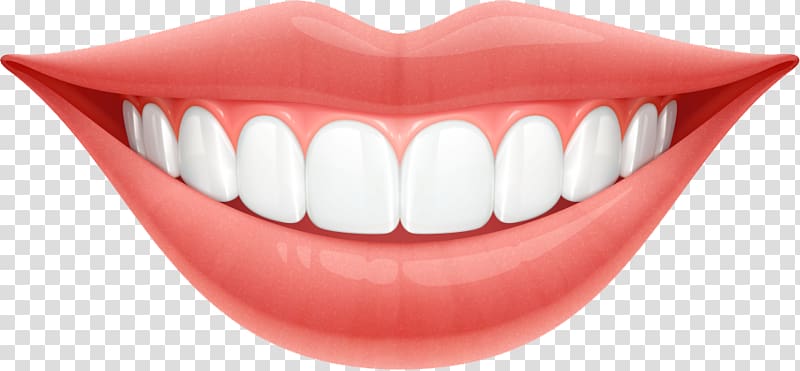 mouth clipart healthy gum