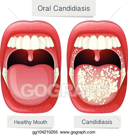 mouth clipart mouth anatomy