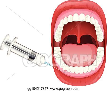 mouth clipart mouth anatomy