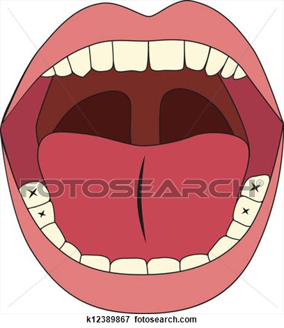 Taste clipart mouth open. Making the web com