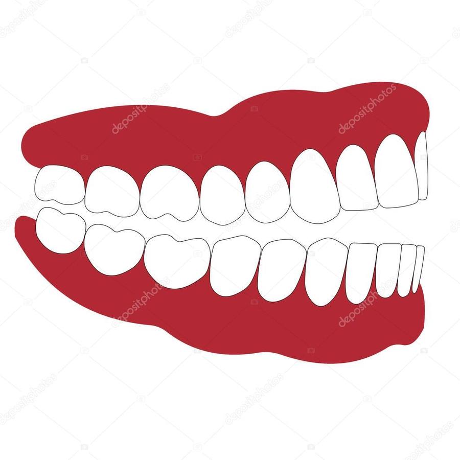 mouth clipart side view