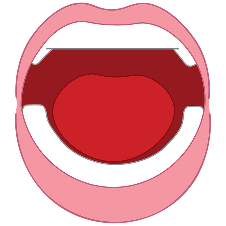 mouth clipart small mouth