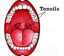 mouth clipart tonsils