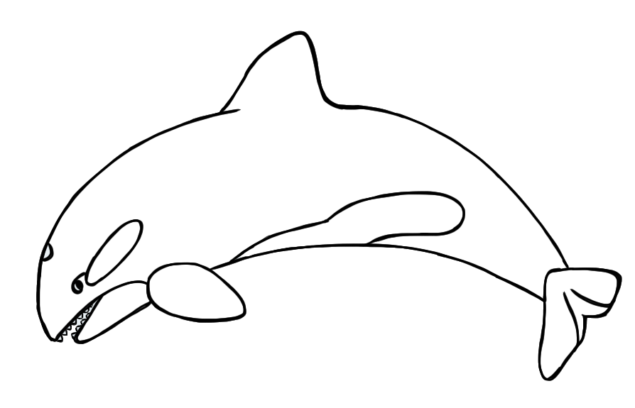orca clipart large whale