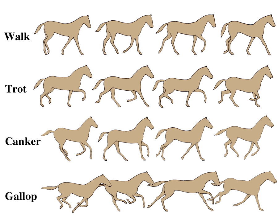 Movement clipart gallop. Learning and play interactive