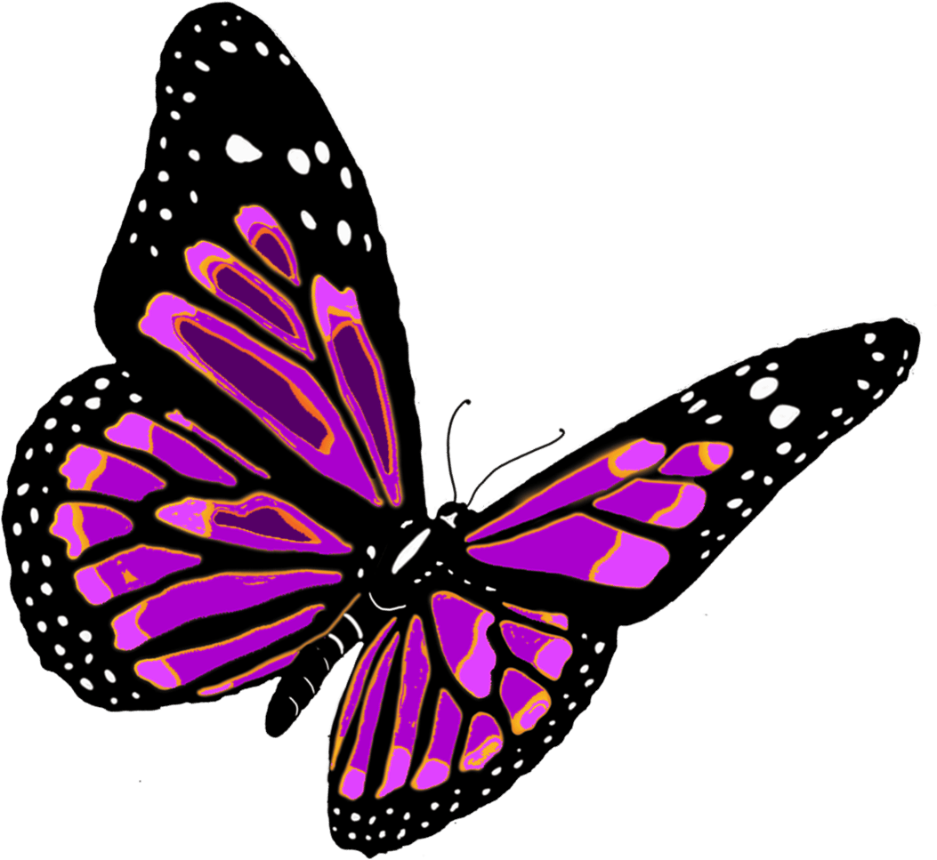 moving clipart butterfly