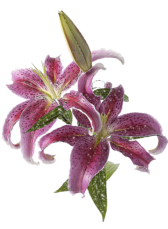 moving clipart flower